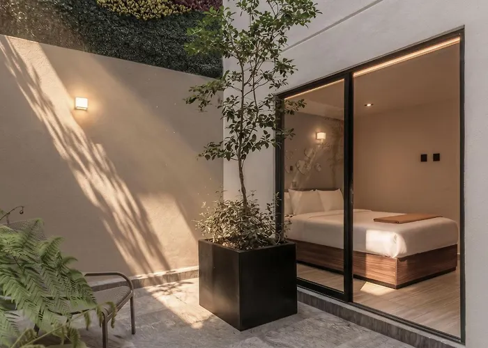 Hotel Casa Grijalva By Kukun Mexico